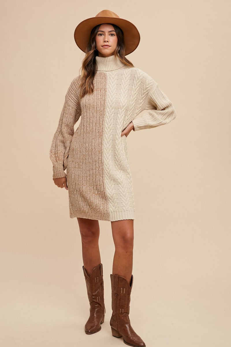 Arctic Harmony Color Block Turtleneck Dress